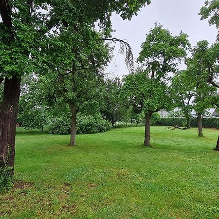 Eifelhof Mit Obstbaumwiese Нидеген Екстериор снимка
