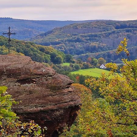 Eifelhof Mit Obstbaumwiese Нидеген Екстериор снимка