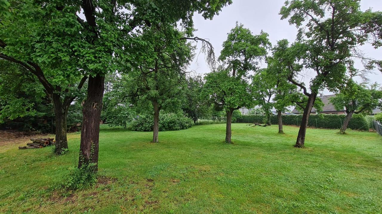 Eifelhof Mit Obstbaumwiese Нидеген Екстериор снимка