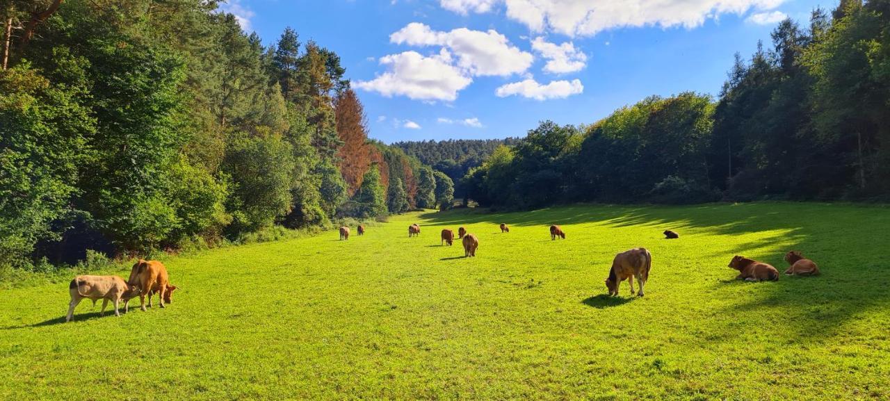 Eifelhof Mit Obstbaumwiese Нидеген Екстериор снимка