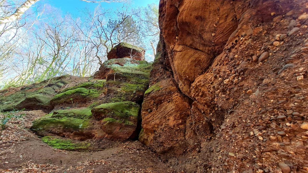 Eifelhof Mit Obstbaumwiese Нидеген Екстериор снимка
