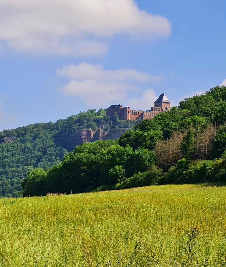 Eifelhof Mit Obstbaumwiese Нидеген Екстериор снимка