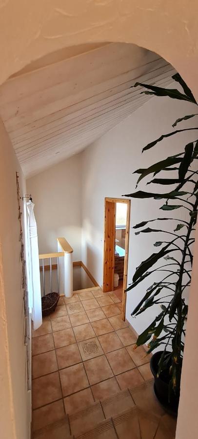 Eifelhof Mit Obstbaumwiese Нидеген Екстериор снимка